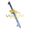 COMMON RAIL – 20795719 - Volcat Parts
